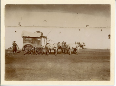 Photo Vintage Algérie 1895 - Tirage Citrate 6x9 Cm, Troupe Française à Cheval