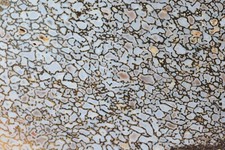 White Agatized Dinosaur Bone Slab, Utah, EX Shirley Collection, 270 grams