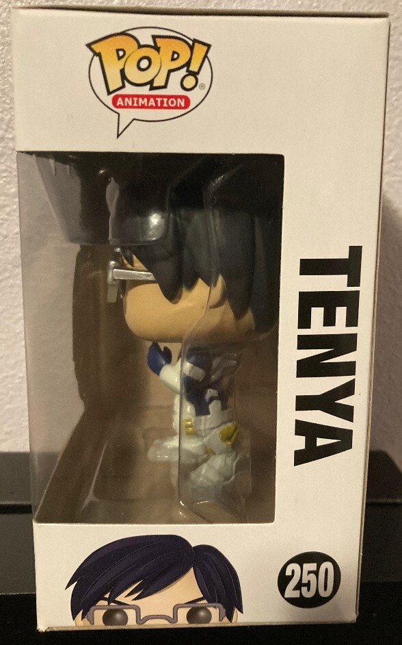 Funko Pop! 250 My Hero Academia Tenya Action Figure | eBay