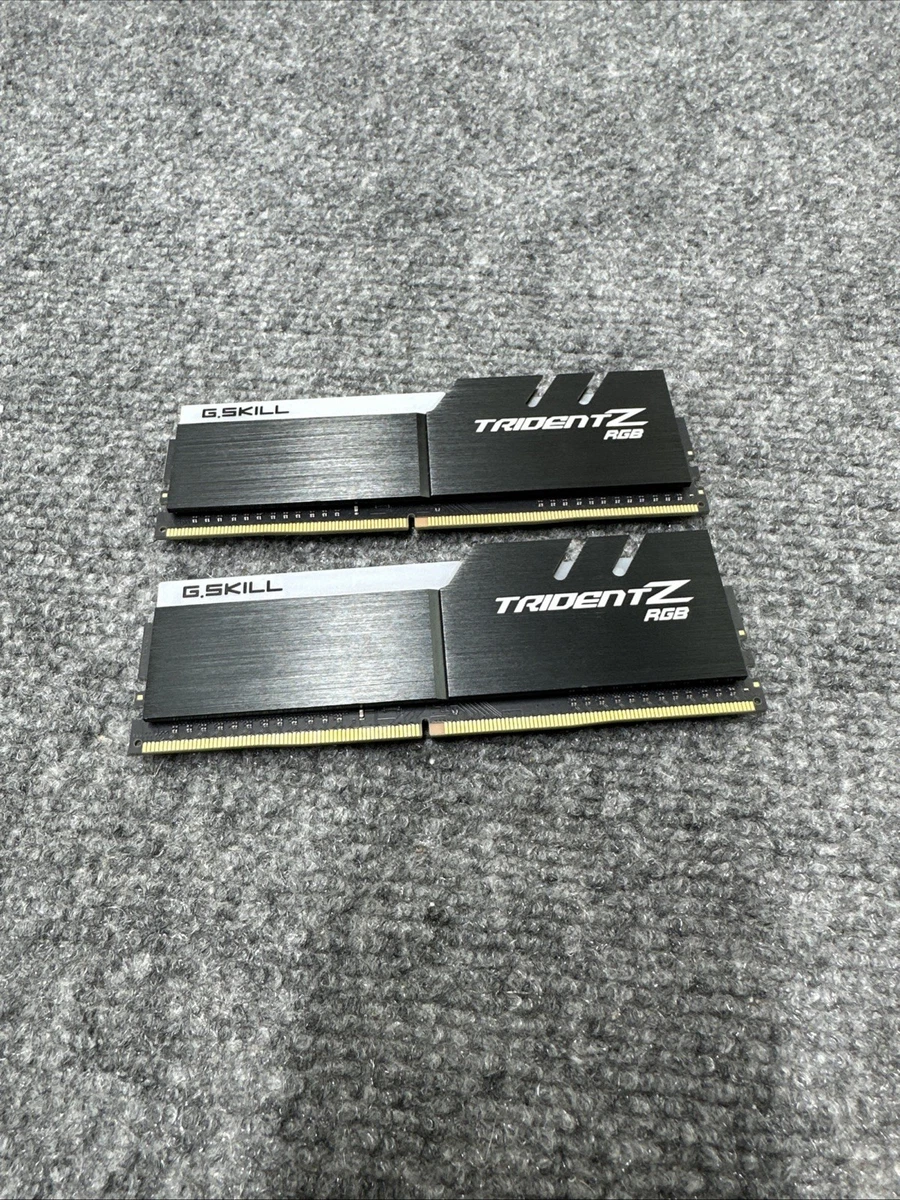 G. SKILL PC4-24000 (DDR4-3000) Bus Speed Computer RAM 16 GB Total