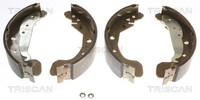 Triscan Bremsbackensatz 8100 21612 FüR Chevrolet Daewoo