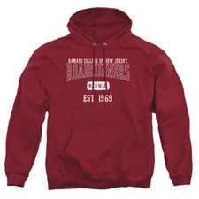 Ramapo College Adult Pullover Hoodie Est. Date, Garnet, S-3XL