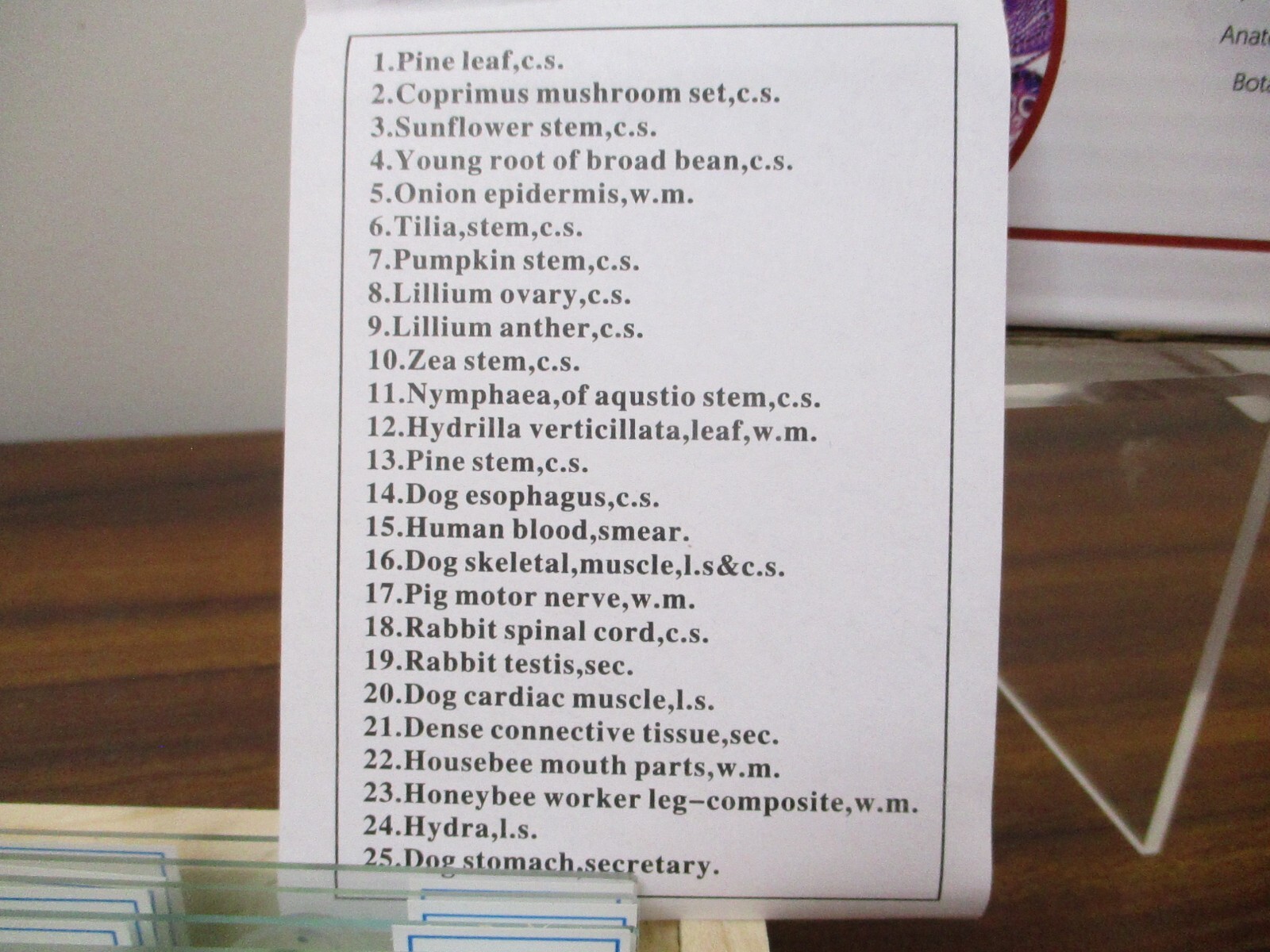 AmScope 25 Prepared Microscope Slides Glass with Wooden Box PS25W NEW