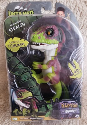 untamed baby raptor