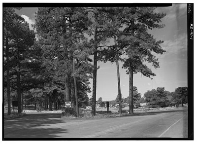 Village Loop Drive,Grand Canyon Village,Grand Canyon,Coconino County,Arizona,AZ