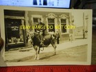 Rare Old Picture Photo Nova Scotia Canada Real Postcard Annapolis Royal Bull Cow