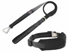 Pet Life � 'Geo-prene' 2-in-1 Shock Absorbing Neoprene Padded Reflective Dog Lea