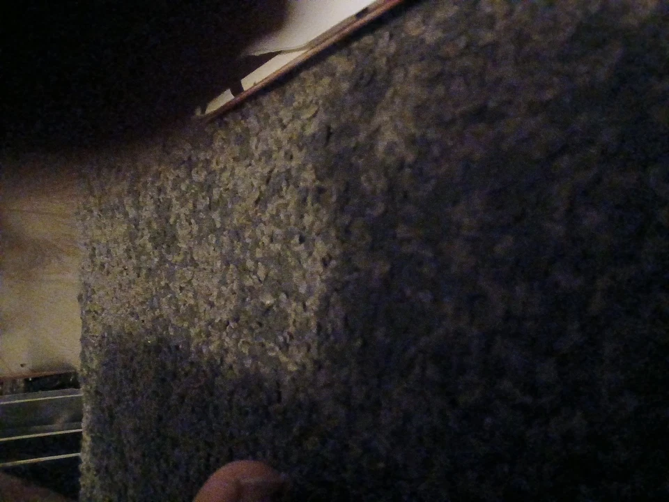 Poison Idea LP Black Flag Discharge GENOCIDE MIA Dead KENNEDYS Gbh Adicts - Image 4 of 4