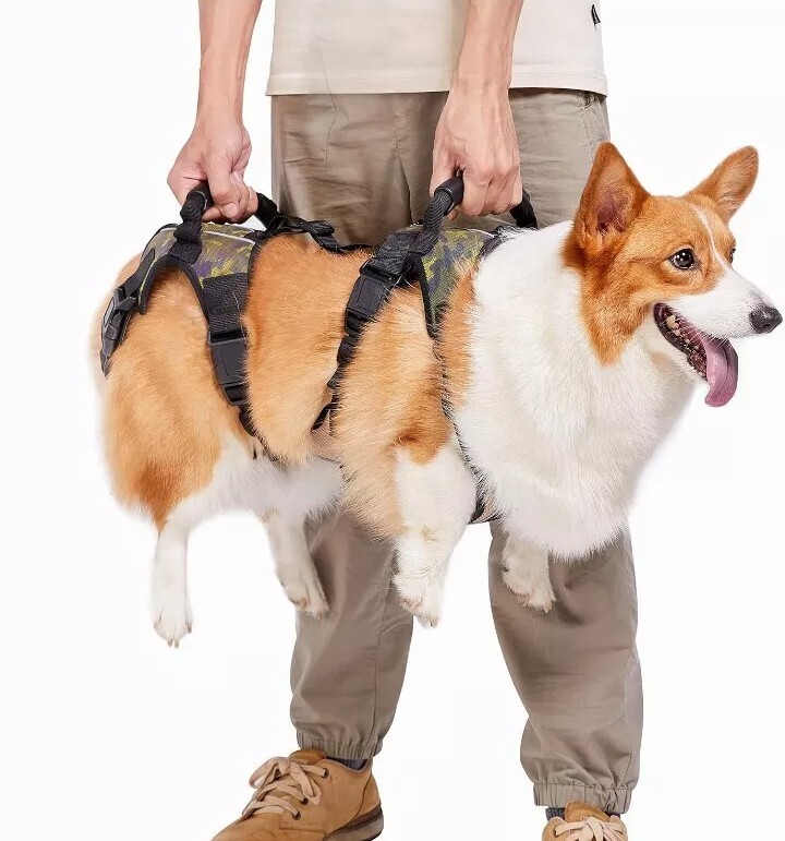 XL Coodeo Dog Lift Harness Camo Rear Leg Support Sling Senior