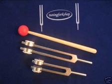 2 Osteo Bone Tuning Forks fr healing tendons  Ligament