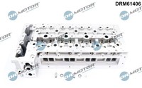 Zylinderkopf FÜR Iveco Daily IV Kasten - Dr.Motor Automotive DRM61406
