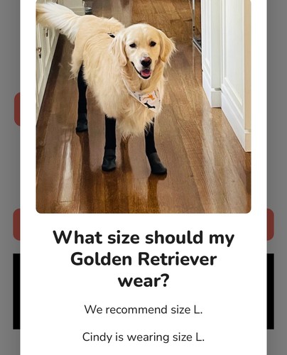 Walkee Paws Easy-On Deluxe Dog boots "Suspenders", size Large worn only once 