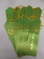 5th Place Award Ribbons – Pack of 10 – Flat Card & String Classroom Event green