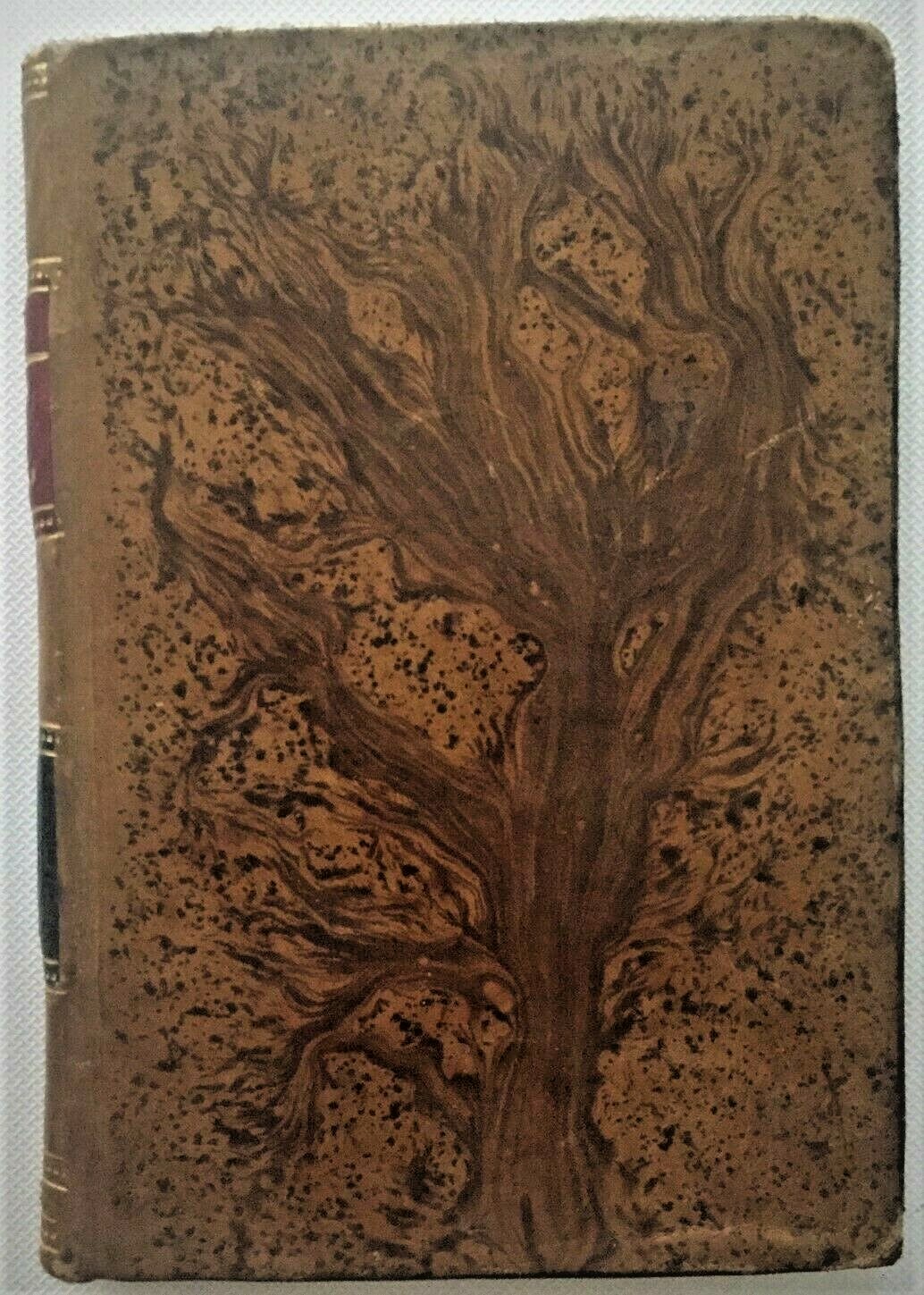 Picture 2 of 2