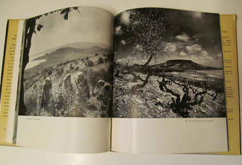 Magyar Tajak Magyar Emberek, Zoltan Halasz, Corvina (1957 HCDJ) - Picture 10 of 16