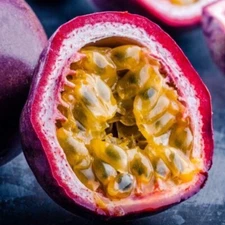 Passion Fruit  Plant “BOUNTY” Super Rare! Limited supply!