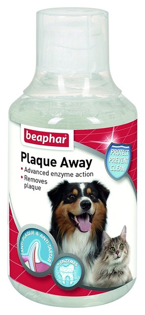 dental mouthwash for dogs