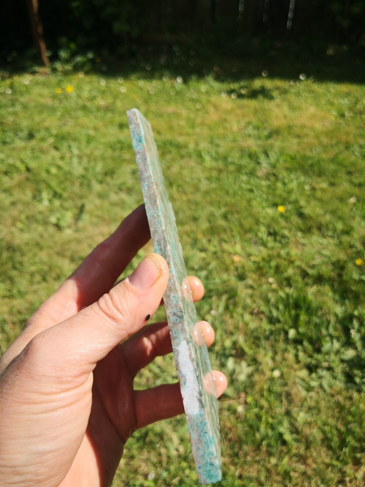 Bild 8 von 9