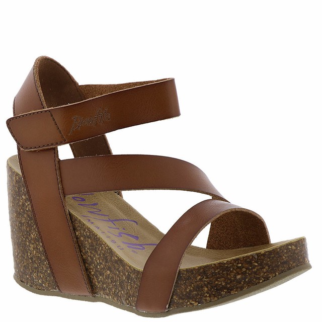 blowfish hapuku wedge