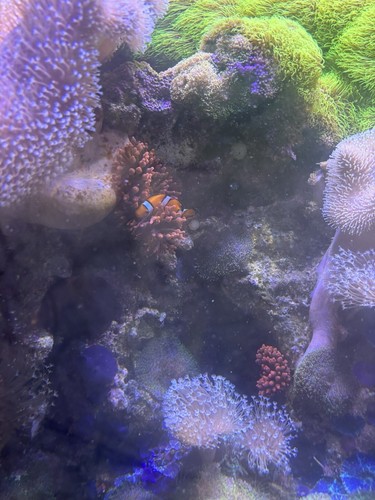 Aquarium Becken EHEIM INHALT - Bild 4 von 7