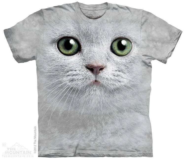 Big face cat 2025