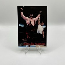 1998 Bandai New Japan Pro Wrestling Big Van Vader #71 -N2