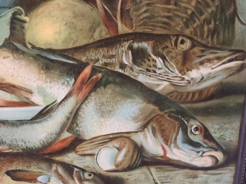 Ancienne chromolithographie Nature Morte Poissons Signé Italie XIXème - Photo 4/4