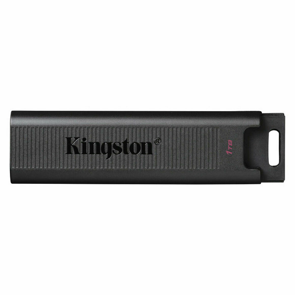 Memoria USB   Kingston DTMAX/1TB         Nero