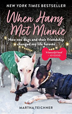 When Harry Met Minnie: An unexpected friendship and the - Paperback / softback N