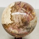 Natural Petrified Wood Polished Stone Quartz Crystal Sphere Ball Healing 3600G — photo 7