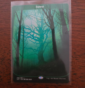 Mtg Forest Unstable | eBay