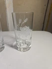 Vintage Federal Glass Royal Rose Etched Glasses (6) , 5.5"T  2.75" D