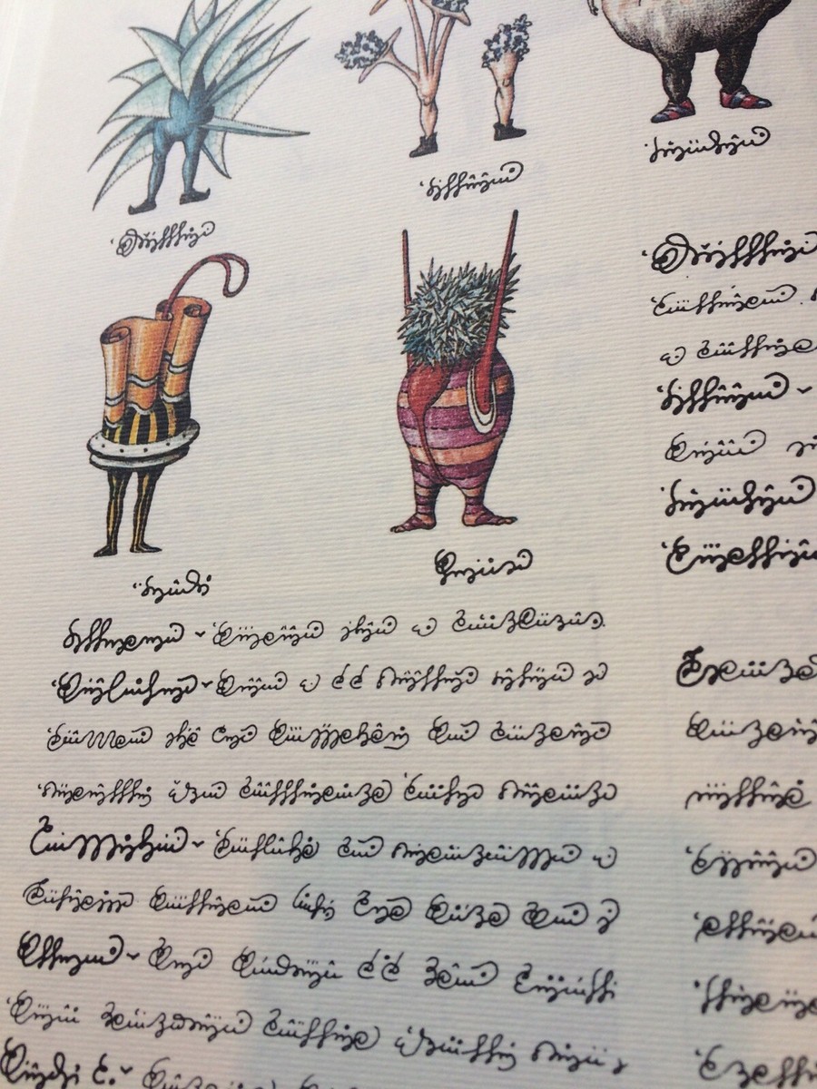 Luigi Serafini Codex Seraphinianus 13
