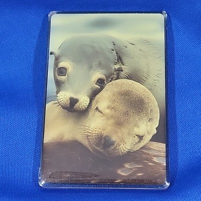 Planet-Zoo Sea Lion Pair Fridge Magnet Romantic Wildlife Animals New