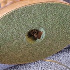 Foto 7 di 11