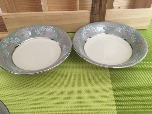 Castleton China "Lace" desert bowls set of 9 mint 5'' - Picture 6 of 8