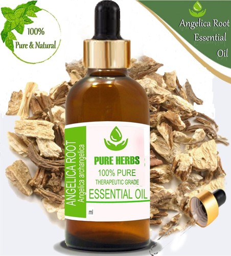 Pure Herbs Angelica Root 100% Pure & Natural Angelica archangelica Essential Oil - Picture 8 of 13