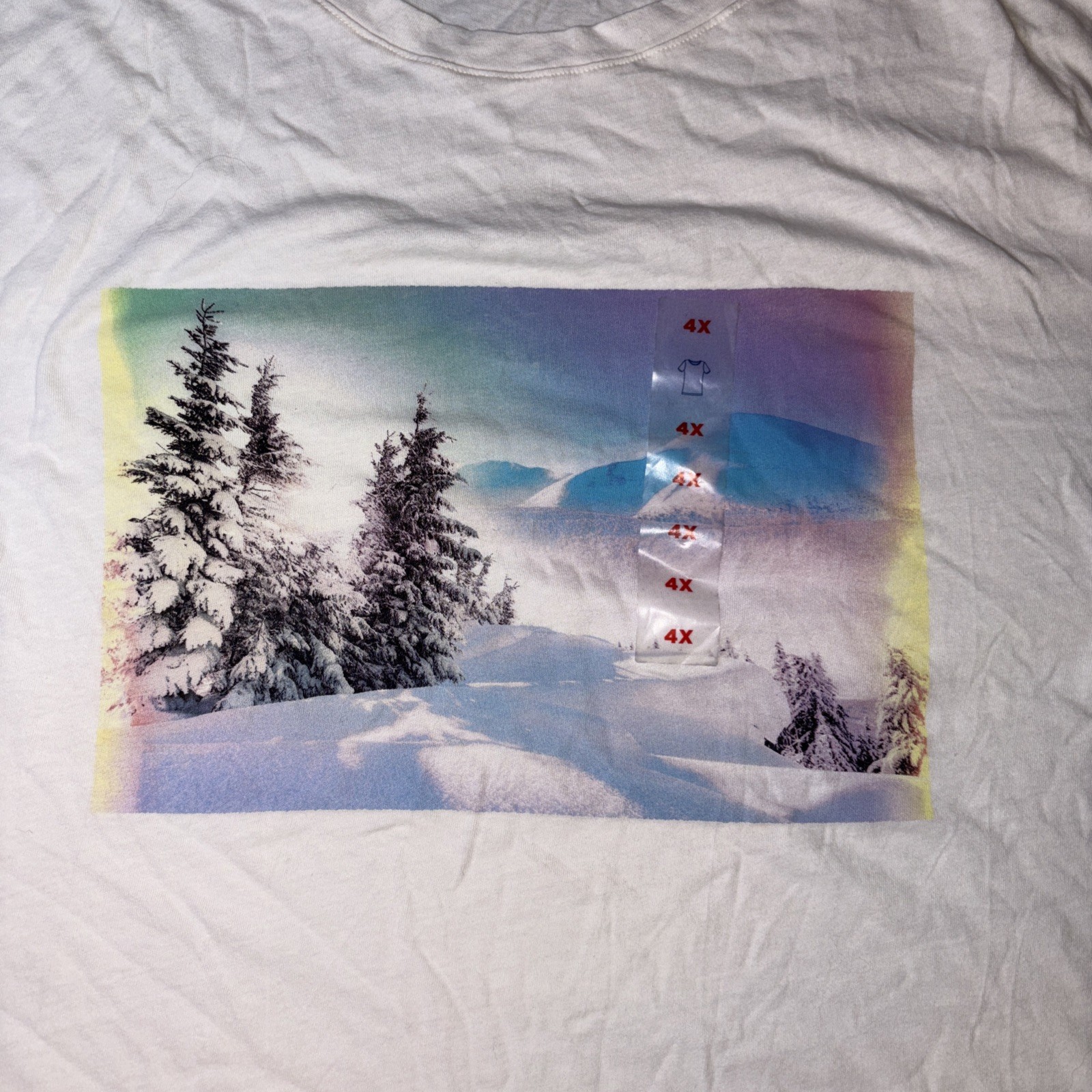 Bild 5 von 12