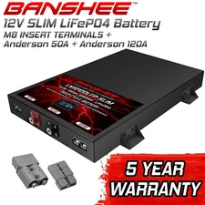 Deep Cycle 12v 100ah Slimline BMS Slim Lifepo4 Lithium Ion Battery Pack for RV