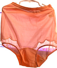 Vintage Kayser nylon panties sz 4 bikini floral lace semi sheer briefs Peach