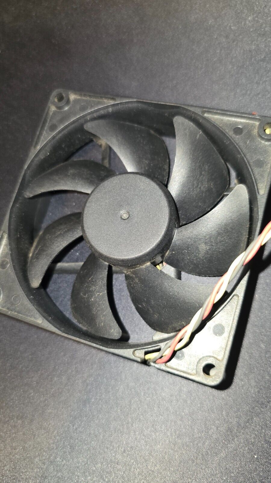 Picture 2 of 2