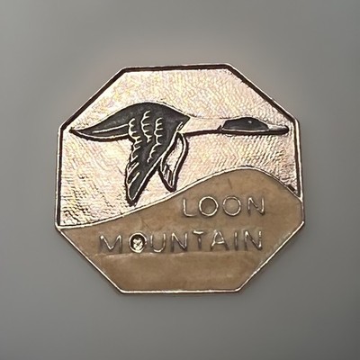 Vntg Silver/Cream Loon Mountain Ski Pin New Hampshire Enamel Souvenir Octagon