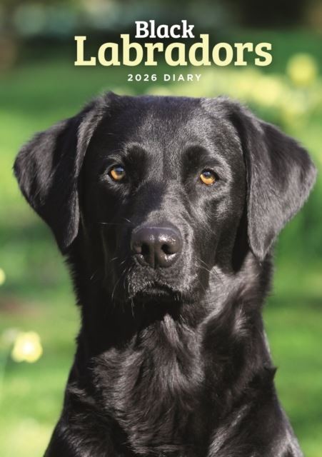 Labrador Retrievers Black 2026 A5 Wiro Diary Official