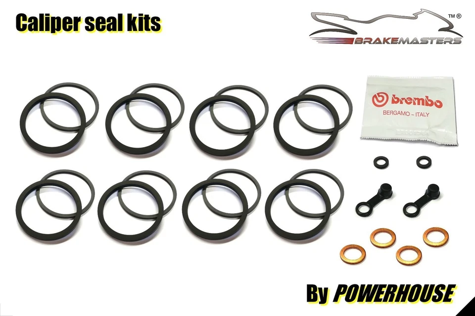 Triumph Speed Triple 1050 2009 front brake caliper service components seals Foto 2 de 4