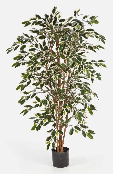 Artplants Kunst Ficus Avellino, 430 GrüN-Weiß BläTter, 120Cm-image