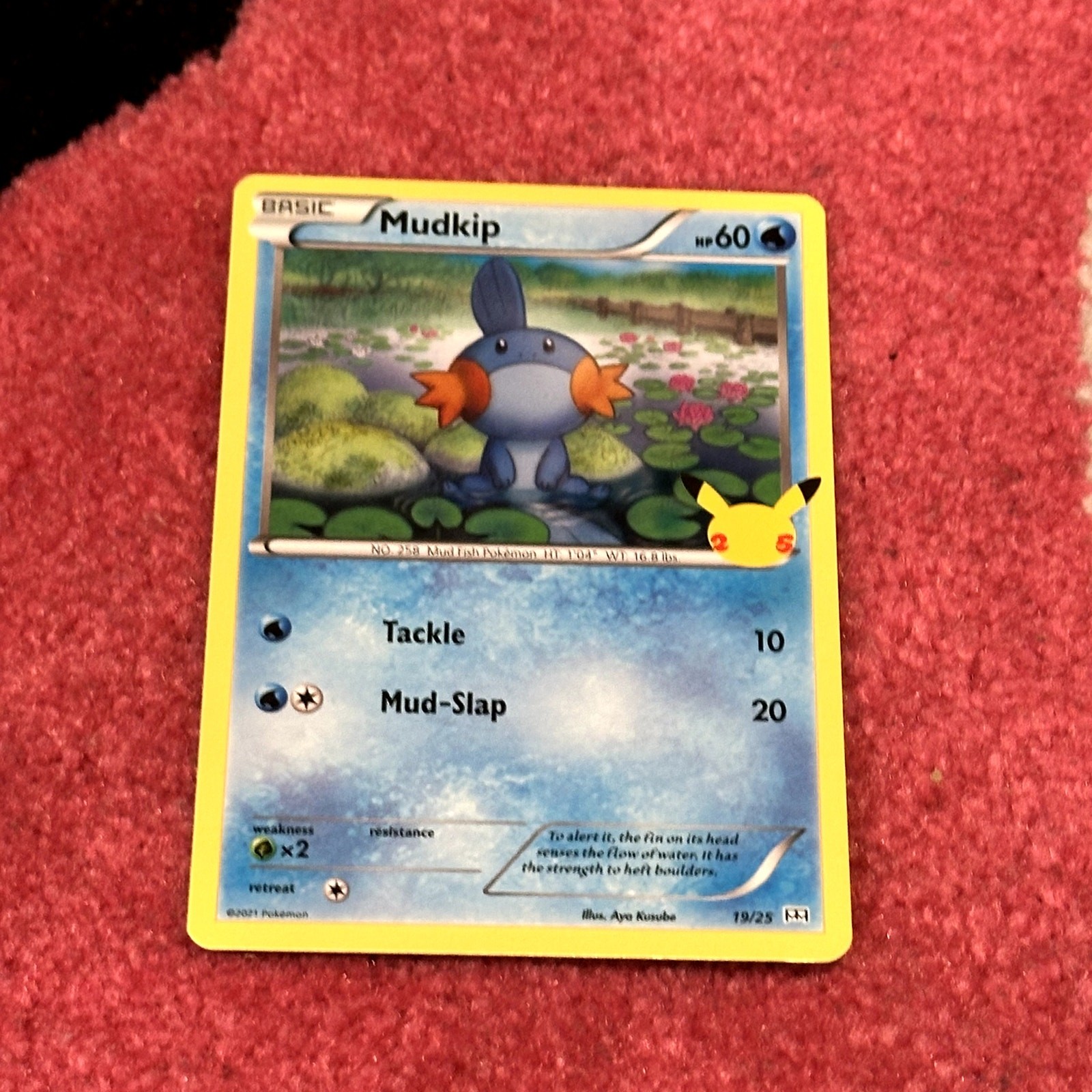 Mudkip Holo #19 – Pokémon McDonald's Collection 2021 – As Pictured