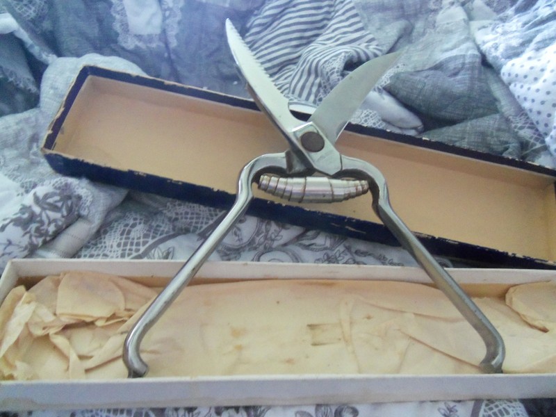 VINTAGE, IN BOX-POULTRY OR GAME SHEARS, ROYAL BRAND CUTLERY CO.-FORGED STAINLESS