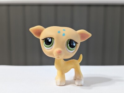 Littlest Pet Shop LPS Yellow Greyhound Dog with Green Teardrop - Main Image