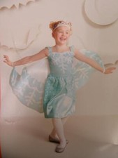 Hyde and Eek Kids Snow Fairy Halloween Costume Dress Wings Crown Small