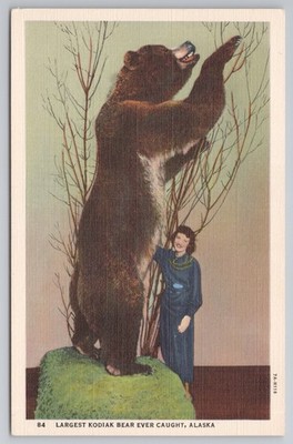 Größter Kodiak-Bär, der jemals gefangen wurde Alaska Taxidermie Leinen Postkarte Johnston